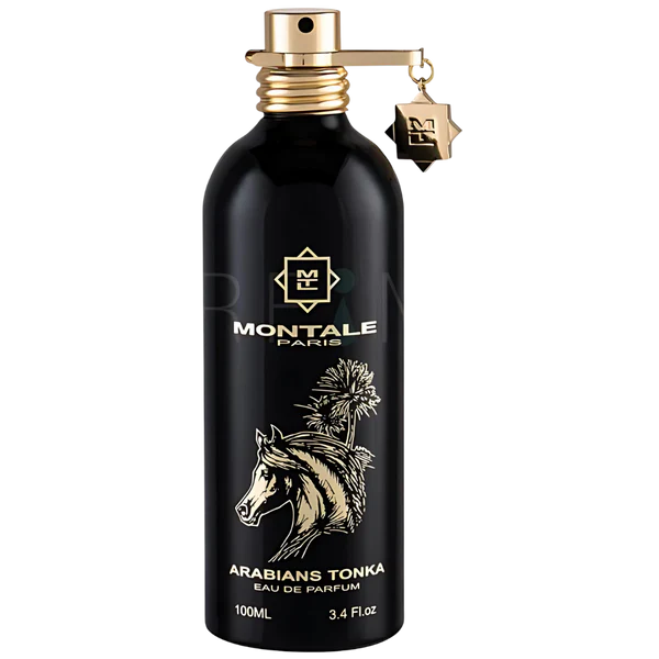 Montale Arabians Tonka