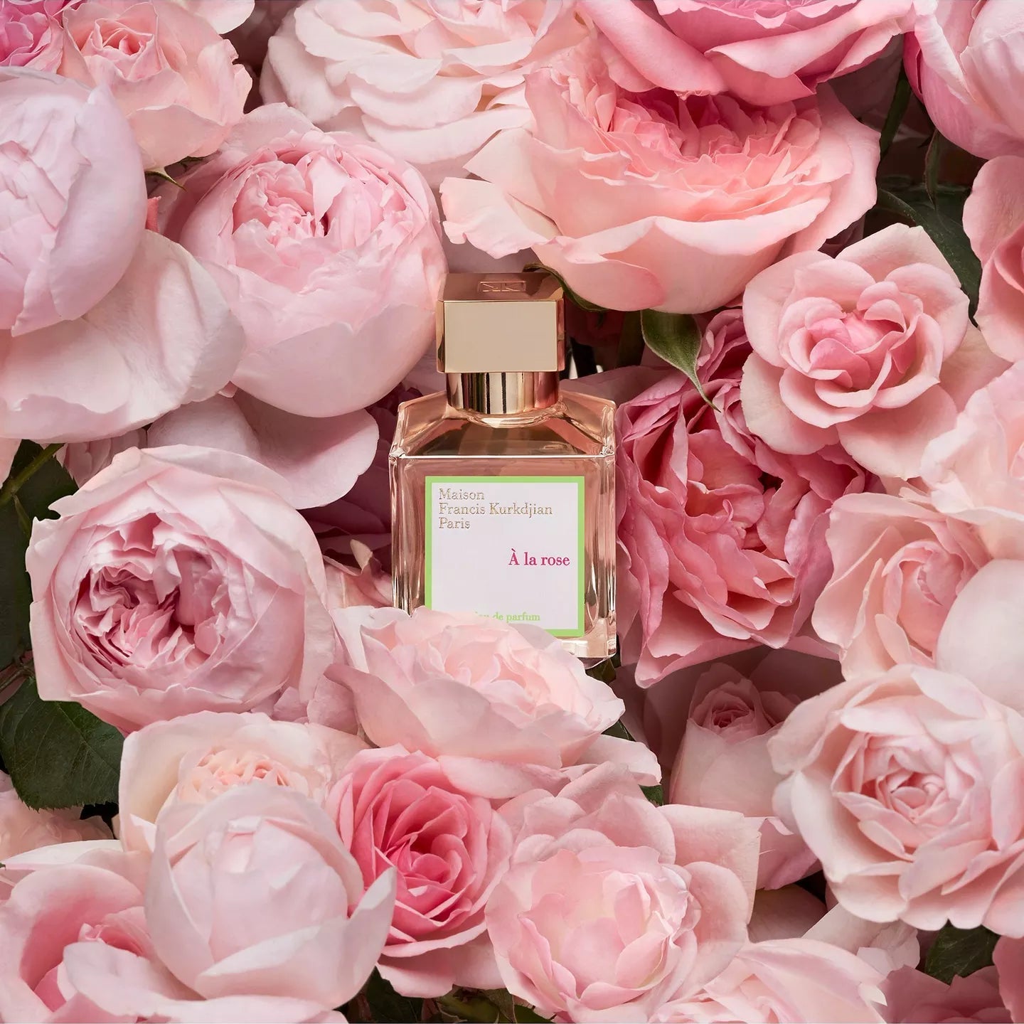 Baccarat À la Rose