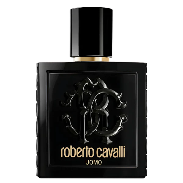 ROBERTO CAVALLI UOMO