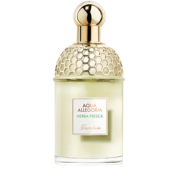 guerlain aqua allegoria herba fresca