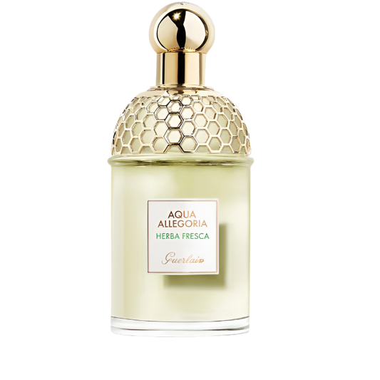 guerlain aqua allegoria herba fresca